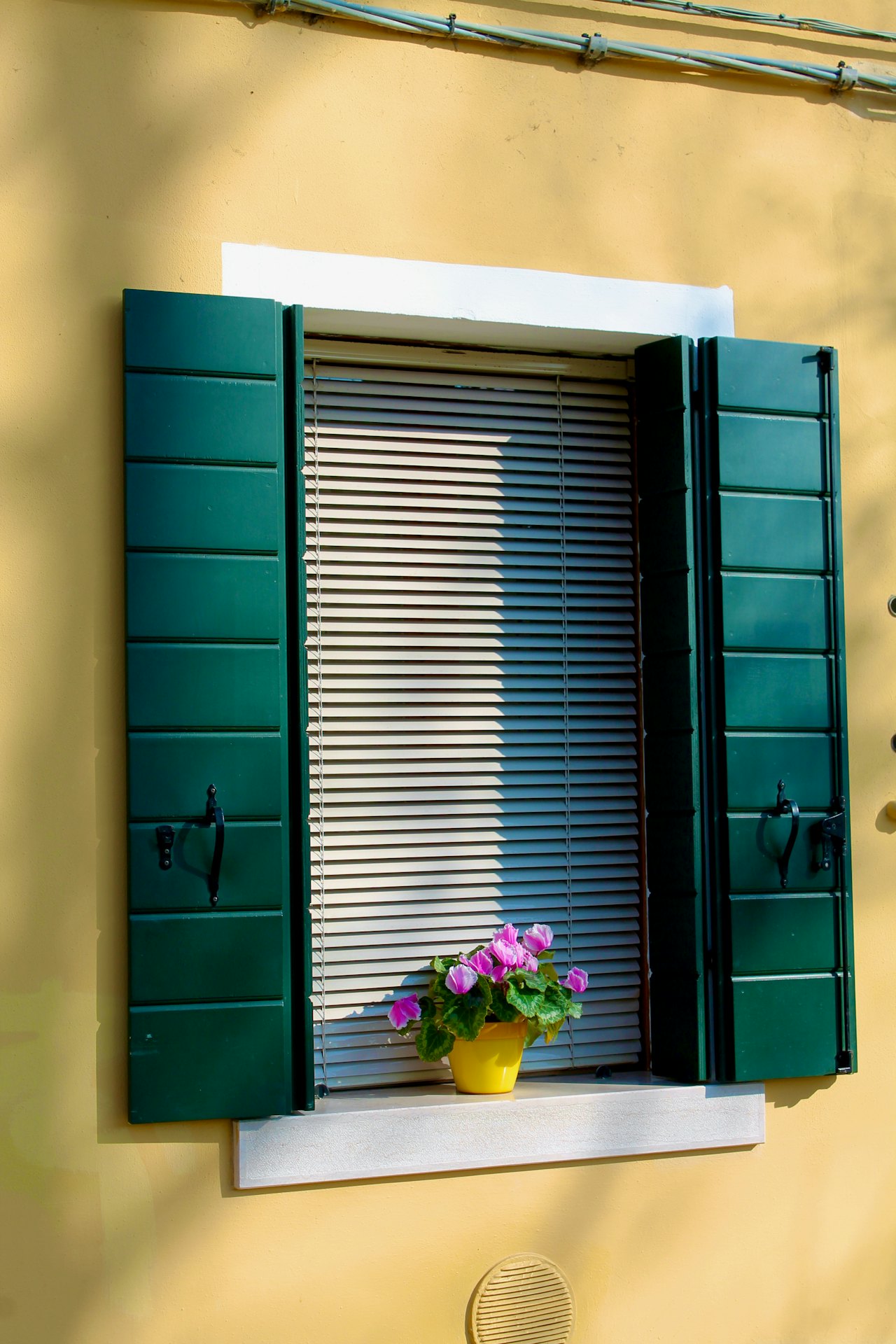 Fenster mit Fensterläden, mit Blumen auf der Fensterbank